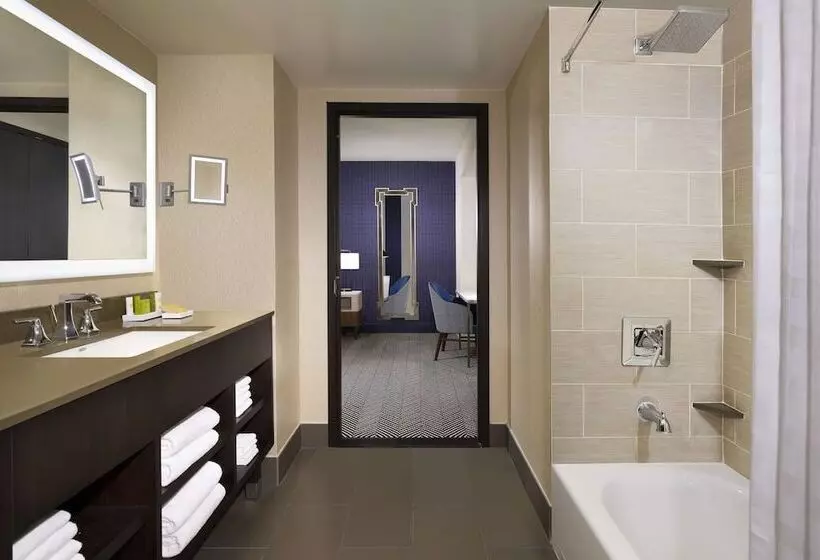 سوئیت با تخت بزرگ, Hilton Austin