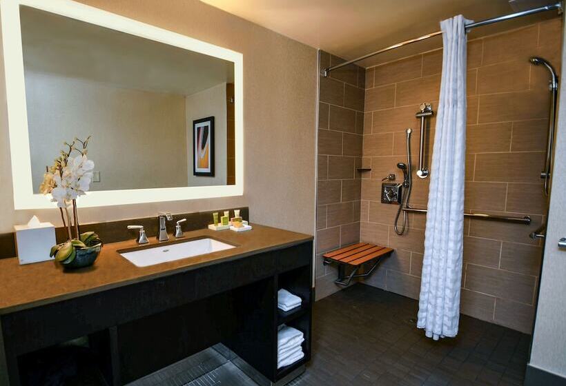 Номер Стандарт Адаптированный для Инвалидов, Hilton Austin