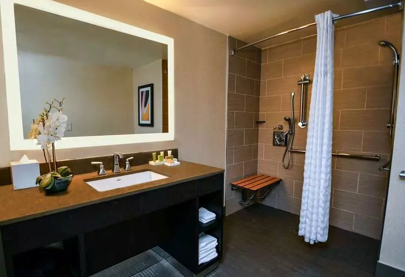 اتاق استاندارد برای معلولان, Hilton Austin