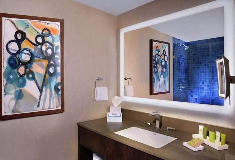 اتاق استاندارد برای معلولان, Hilton Austin