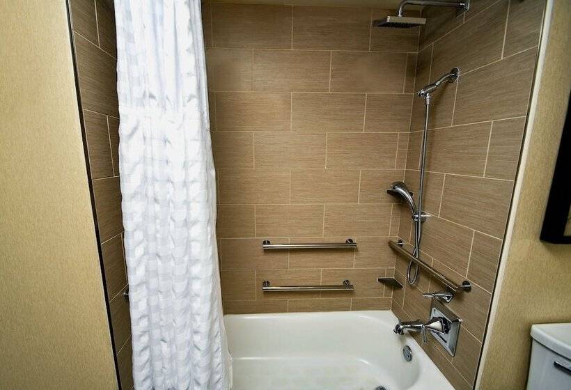 Номер Стандарт Адаптированный для Инвалидов, Hilton Austin