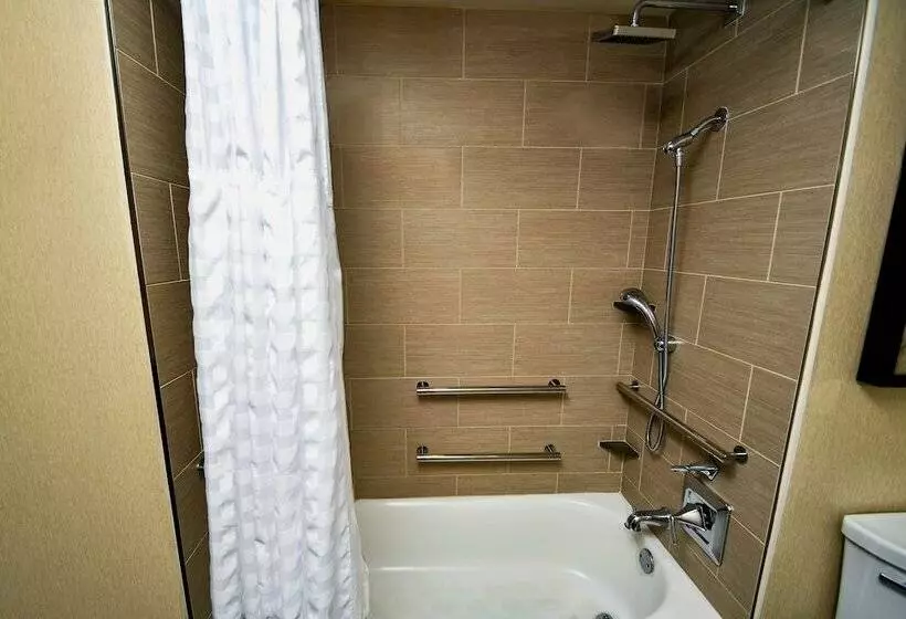 اتاق استاندارد برای معلولان, Hilton Austin