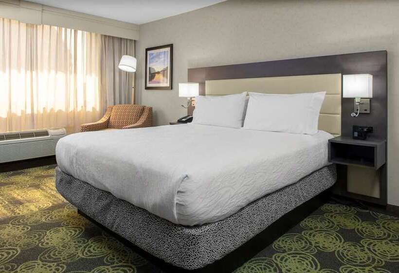 חדר סטנדרט, Hilton Austin