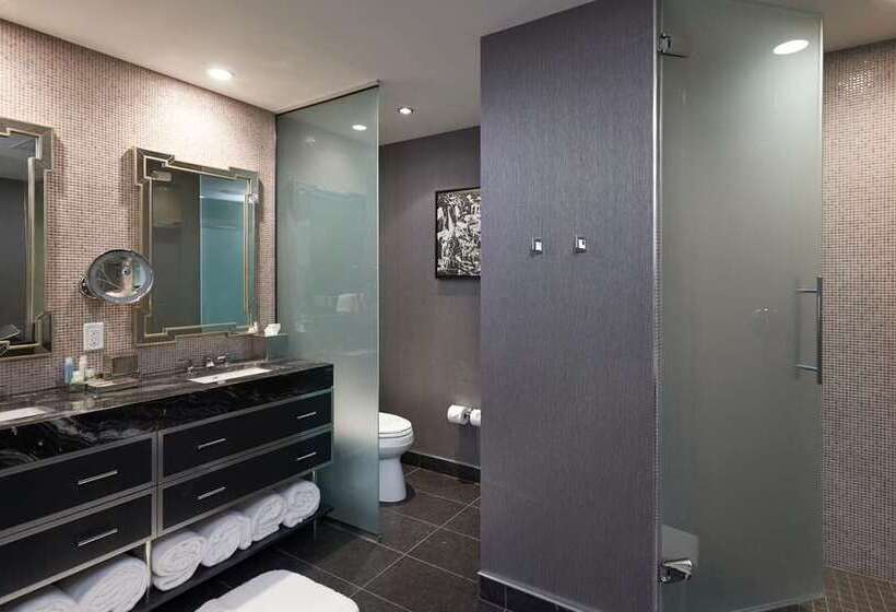 Номер Стандарт, Hilton Austin