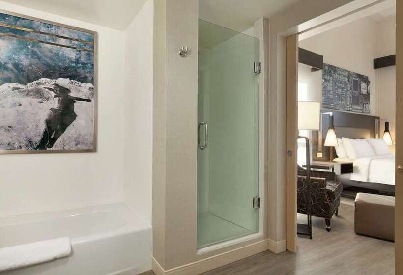 Номер Стандарт, Hilton Austin