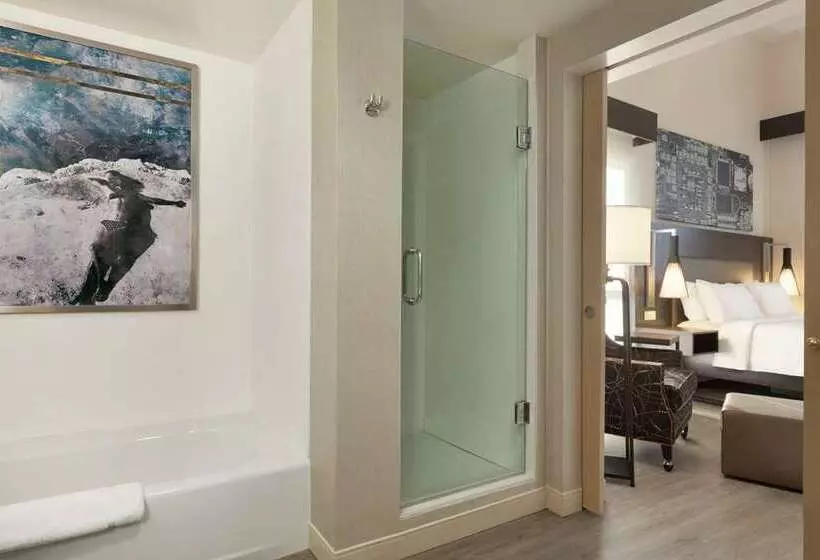 اتاق استاندارد, Hilton Austin