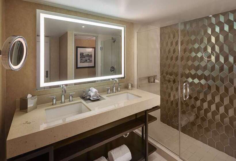 Номер Стандарт, Hilton Austin