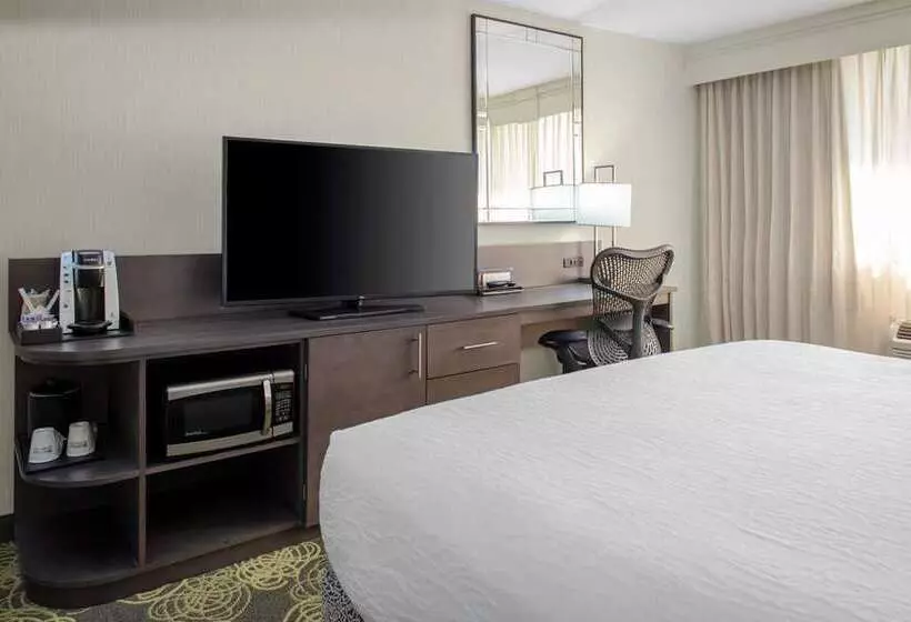 اتاق استاندارد, Hilton Austin