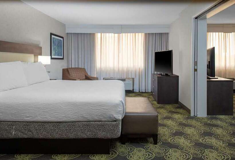 Номер Стандарт, Hilton Austin