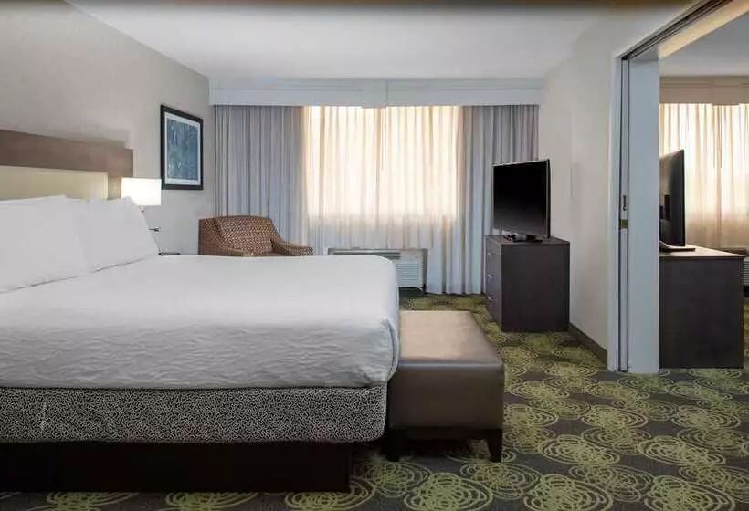 اتاق استاندارد, Hilton Austin