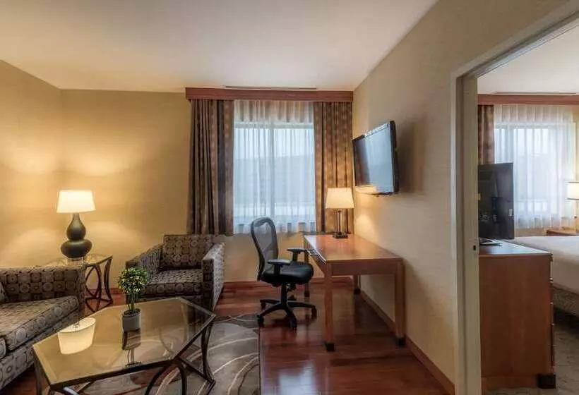 اتاق استاندارد, Hilton Austin