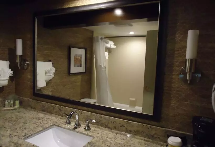 Sviitti Poreallas, Holiday Inn Hotel & Suites Chicago Northwest Elgin, An Ihg