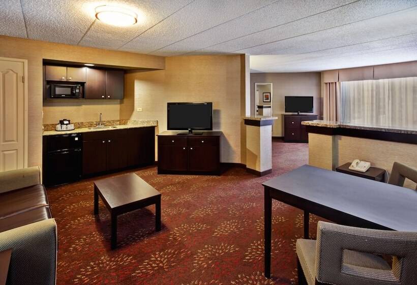 带按摩浴盆的套房, Holiday Inn Hotel & Suites Chicago Northwest   Elgin, An Ihg