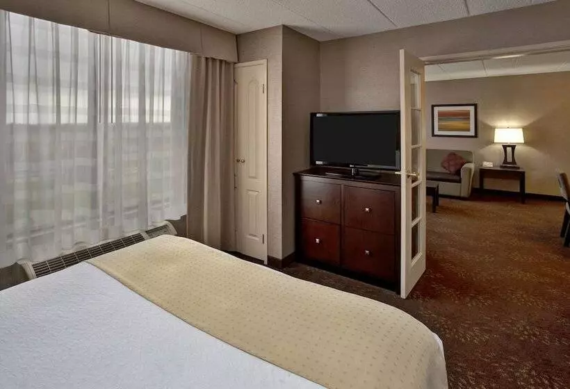 Sviitti Liikuntarajoitteisille, Holiday Inn Hotel & Suites Chicago Northwest Elgin, An Ihg