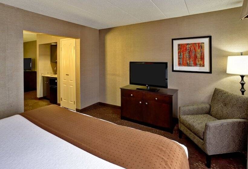 适合残疾人士使用的套间, Holiday Inn Hotel & Suites Chicago Northwest   Elgin, An Ihg