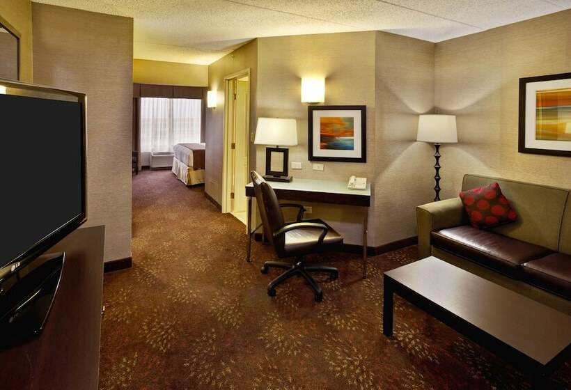适合残疾人士使用的套间, Holiday Inn Hotel & Suites Chicago Northwest   Elgin, An Ihg