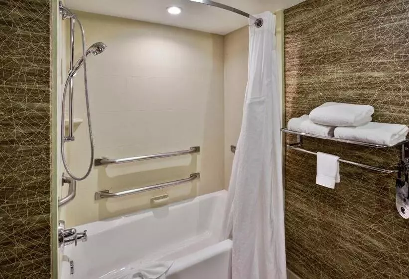 Standard-huone King-vuode, Holiday Inn Hotel & Suites Chicago Northwest Elgin, An Ihg