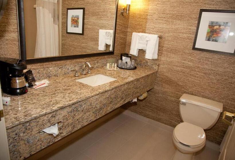デラックススイート, Holiday Inn Hotel & Suites Chicago Northwest   Elgin, An Ihg