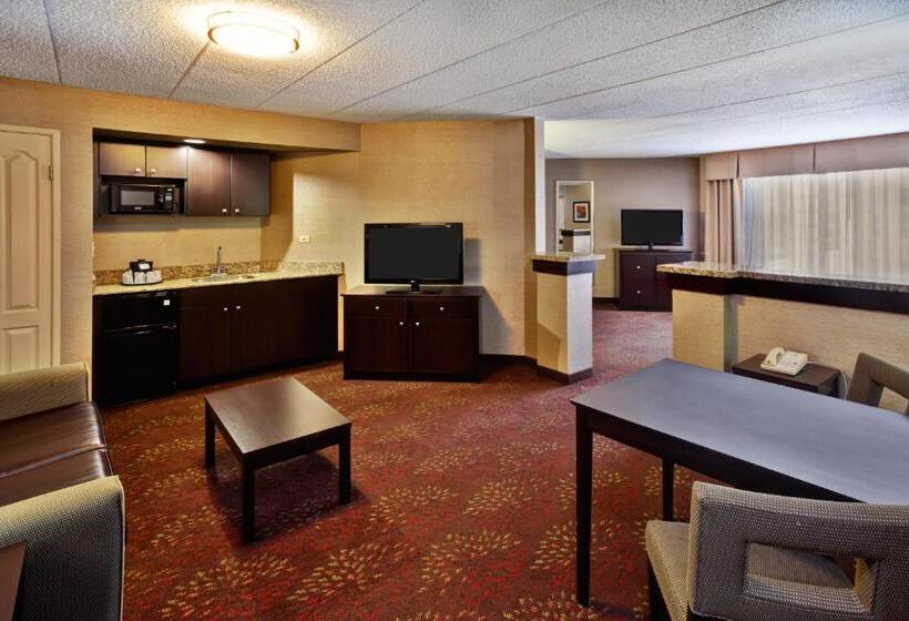 带按摩浴盆的套房, Holiday Inn Hotel & Suites Chicago Northwest   Elgin, An Ihg