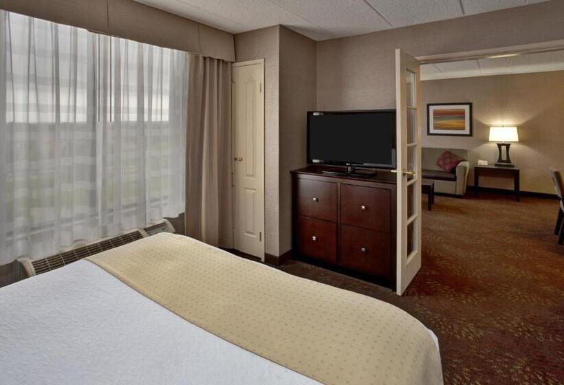 适合残疾人士使用的带超级大床的标准间, Holiday Inn Hotel & Suites Chicago Northwest   Elgin, An Ihg
