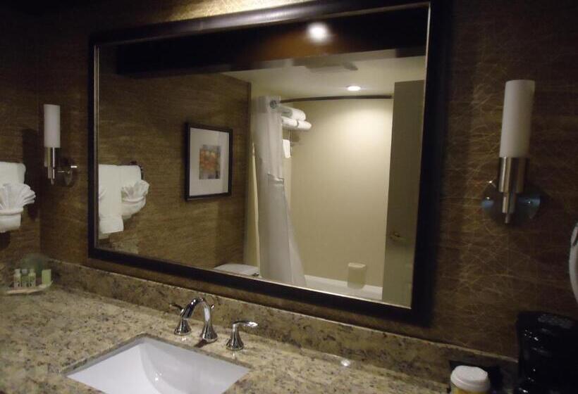 身障者適用キングサイズベッドルーム, Holiday Inn Hotel & Suites Chicago Northwest   Elgin, An Ihg