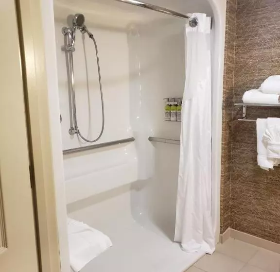 Standard-invahuone King-vuode, Holiday Inn Hotel & Suites Chicago Northwest Elgin, An Ihg