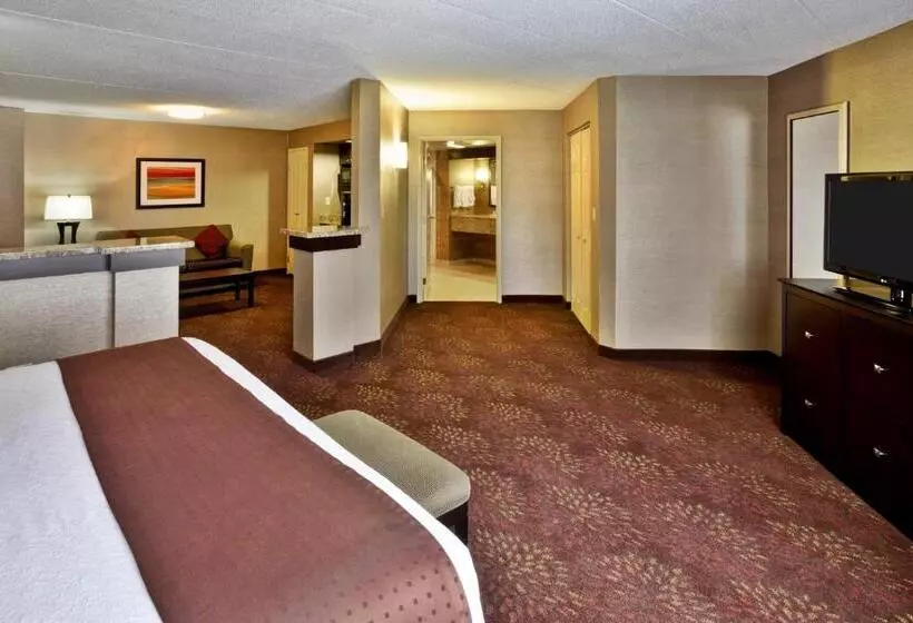 Executive-sviitti King-vuode, Holiday Inn Hotel & Suites Chicago Northwest Elgin, An Ihg