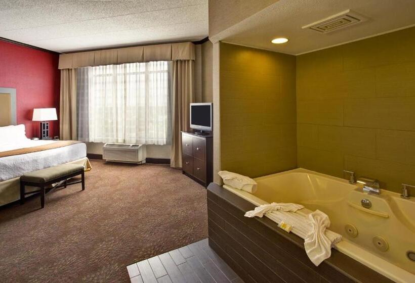 身障者適用スイートルーム, Holiday Inn Hotel & Suites Chicago Northwest   Elgin, An Ihg