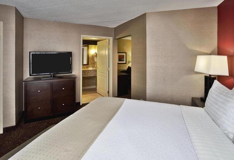 适合残疾人士使用的套间, Holiday Inn Hotel & Suites Chicago Northwest   Elgin, An Ihg