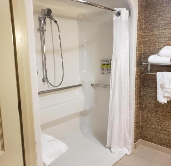 身障者適用スイートルーム, Holiday Inn Hotel & Suites Chicago Northwest   Elgin, An Ihg