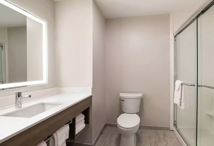 スイート, Holiday Inn Express & Suites Opelousas, An Ihg
