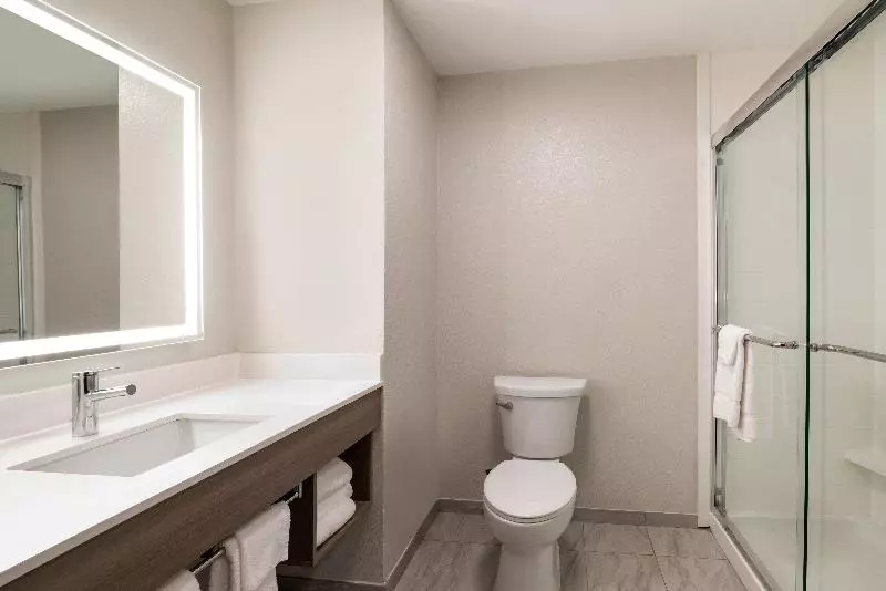 キングサイズベッドのスイートルーム, Holiday Inn Express & Suites Opelousas, An Ihg
