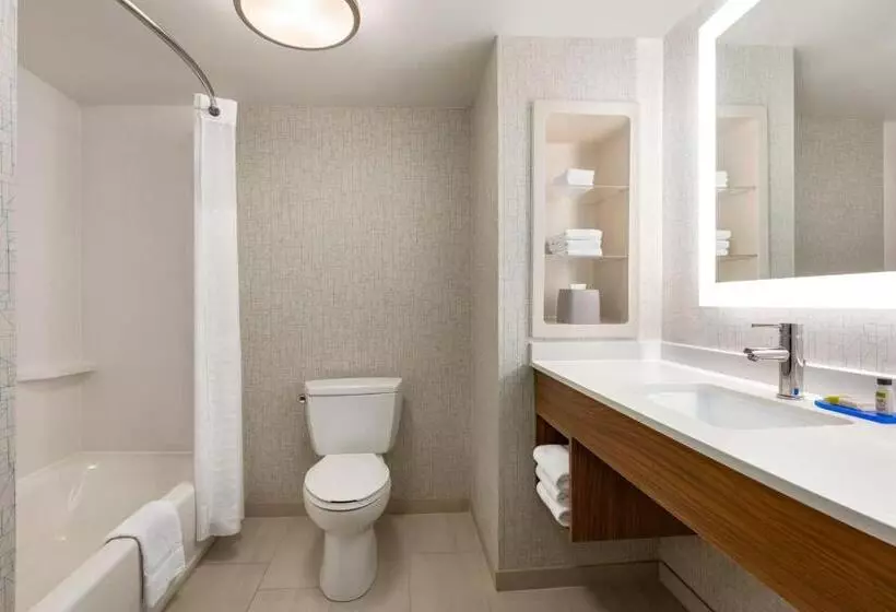 キングサイズベッドのスイートルーム, Holiday Inn Express & Suites Philadelphia   Mt Laurel, An Ihg