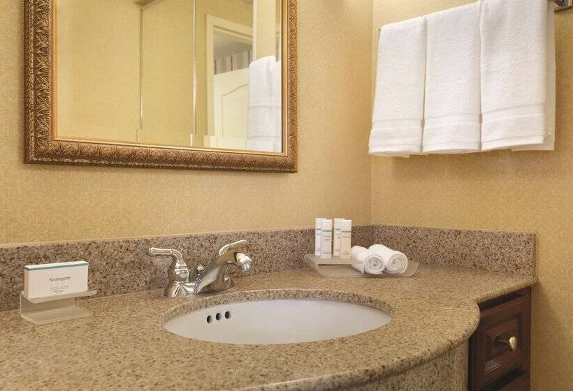 스위트, Homewood Suites By Hilton Detroit Troy