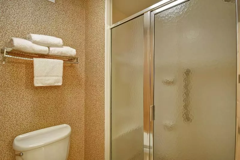 キングサイズベッドのスイートルーム, Homewood Suites By Hilton Richmondchester