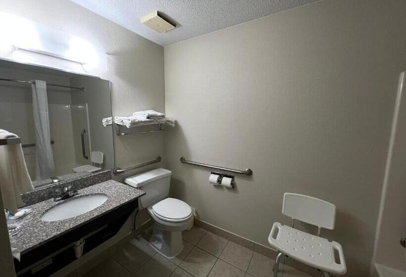 Номер Стандарт Адаптированный для Инвалидов, Quality Inn Mitchell I 90
