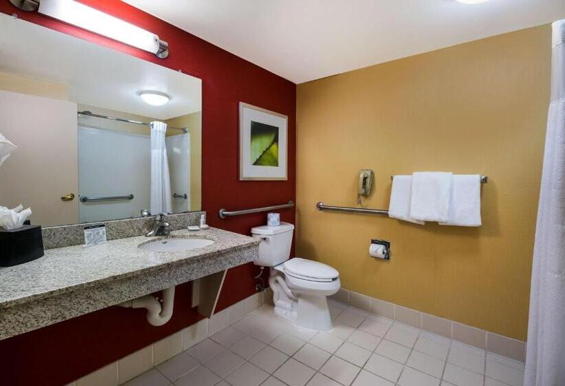 غرفة قياسية سرير كينج لذوى الإحتياجات الخاصة, Sonesta Select Dallas Richardson