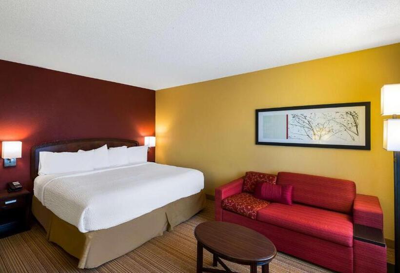 غرفة قياسية سرير كينج لذوى الإحتياجات الخاصة, Sonesta Select Dallas Richardson