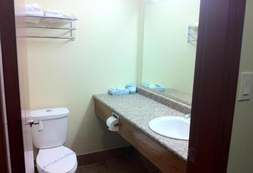 스탠다드 룸, Circle 6 Motel