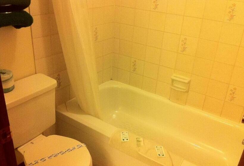 스탠다드 싱글 룸, Circle 6 Motel