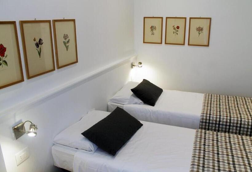 اتاق استاندارد, Bernina