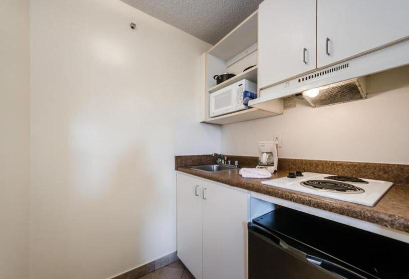 غرفة سوبيريور, Tampa Bay Extended Stay