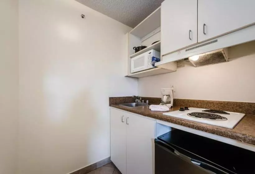 Superior-huone, Tampa Bay Extended Stay