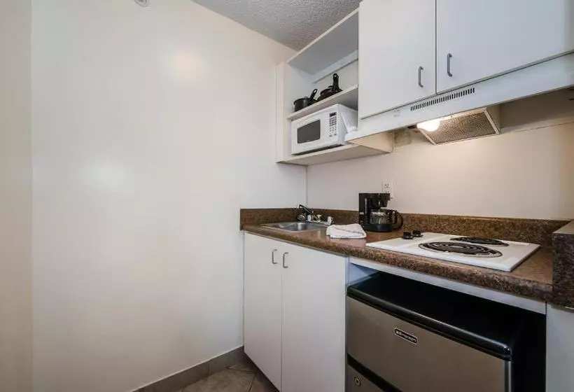 Superior Yhden Hengen Huone, Tampa Bay Extended Stay