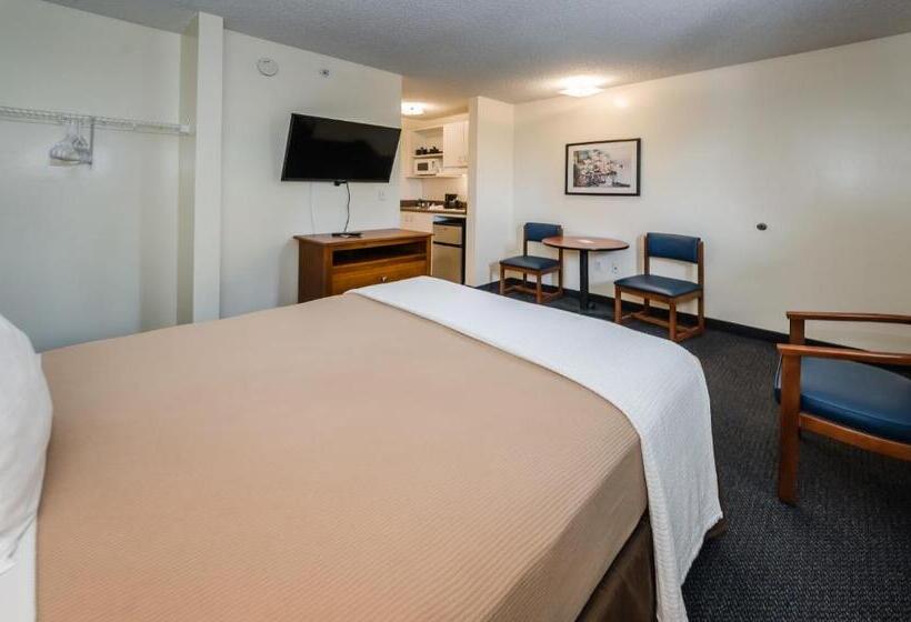 수피리어 싱글 룸, Tampa Bay Extended Stay