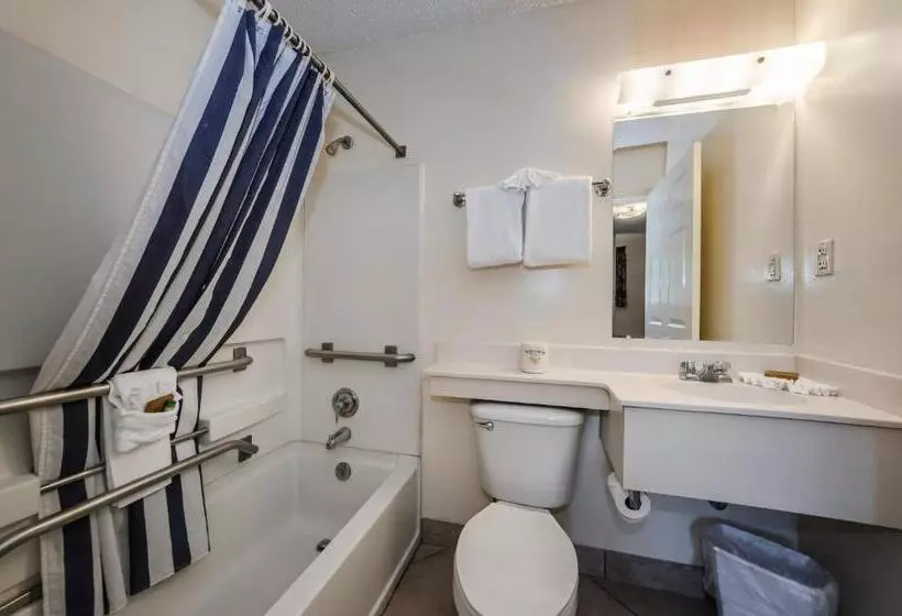 Standard-huone Keittiö, Tampa Bay Extended Stay