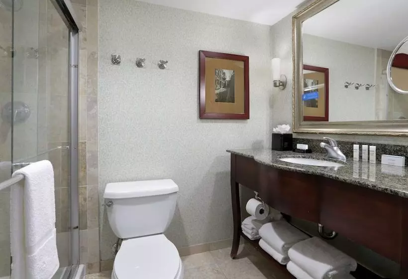 استودیو استاندارد با تخت کینگ, Hampton Inn Boston Natick