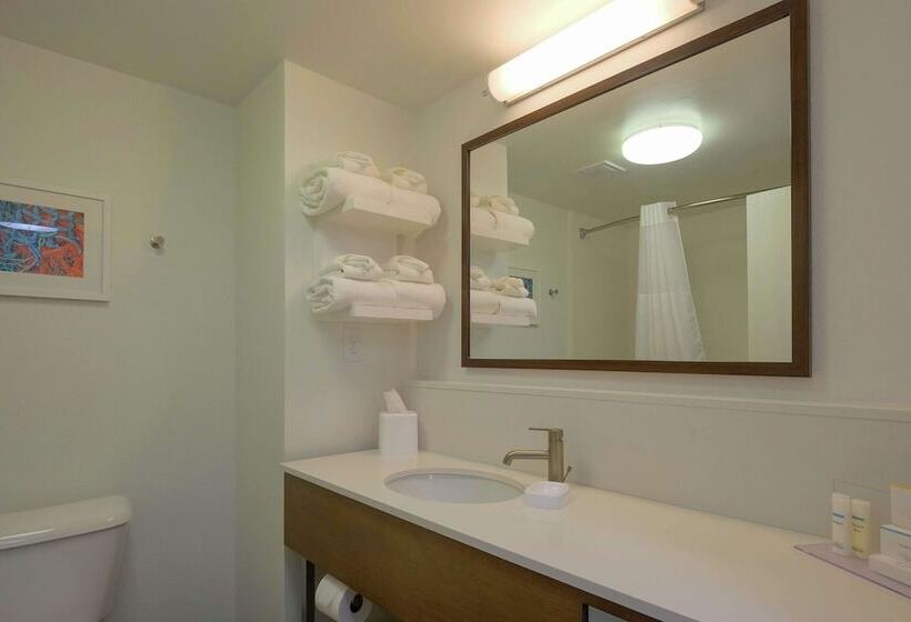 غرفة قياسية, Hampton Inn Edenton