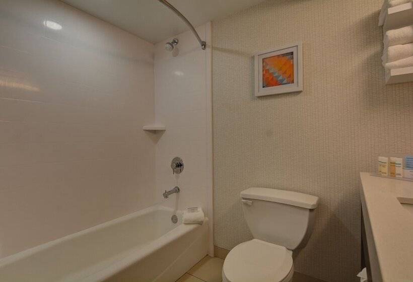 غرفه قياسيه سريرين مزدوجين, Hampton Inn Greenwood