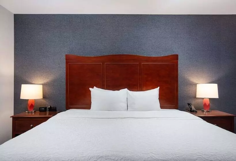 اتاق استاندارد با تخت بزرگ, Hampton Inn Medford
